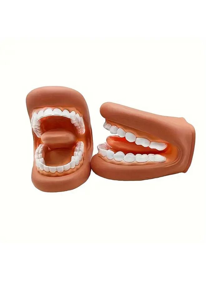 Dental Practice Model With Mouth Puppet Tongue PVC Oral Hygiene Demonstration Tool - Image 5